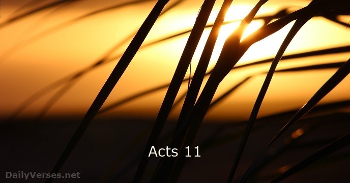 Acts 11:1-30 Sunday Teaching (7-14-24) Pastor Greg Tyra